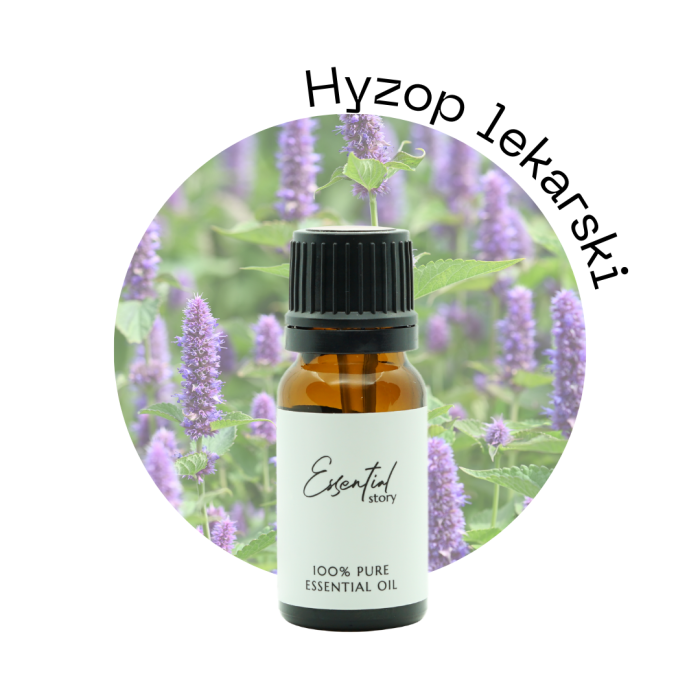 Hyssop.png