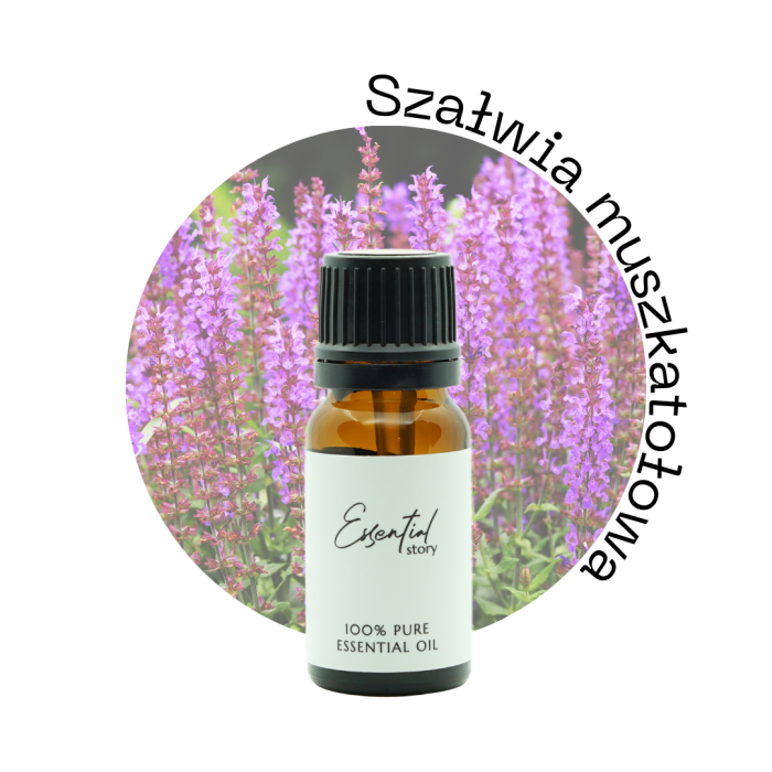 Clary sage.png