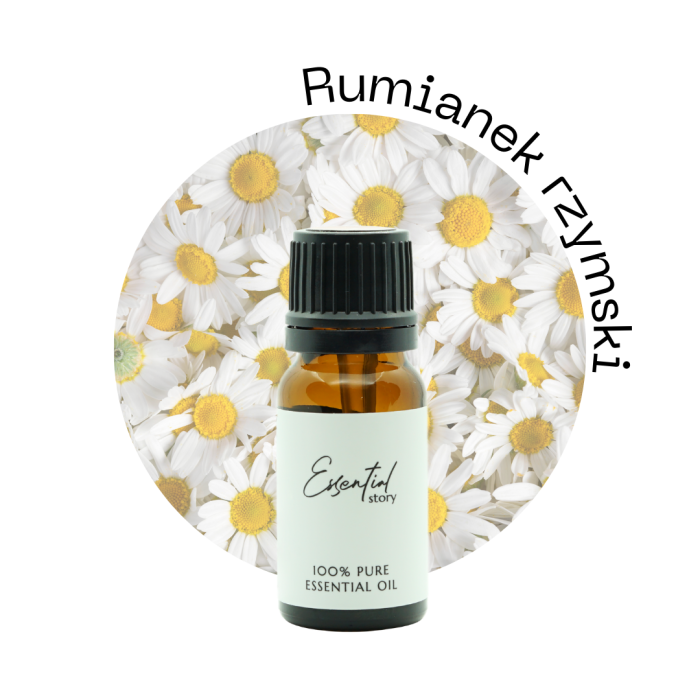 Rumianek rzymski.png