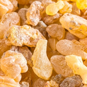 Carteri.jpg