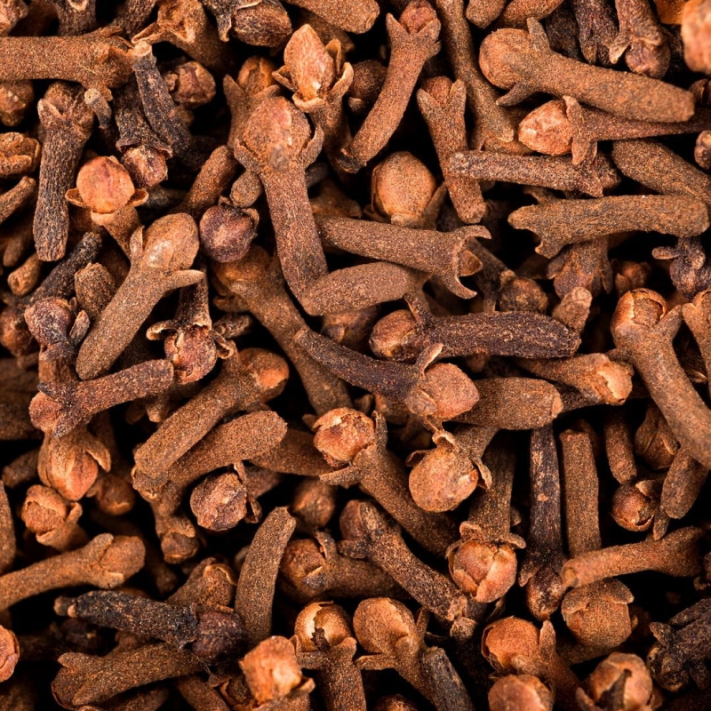 Clove bud.jpg