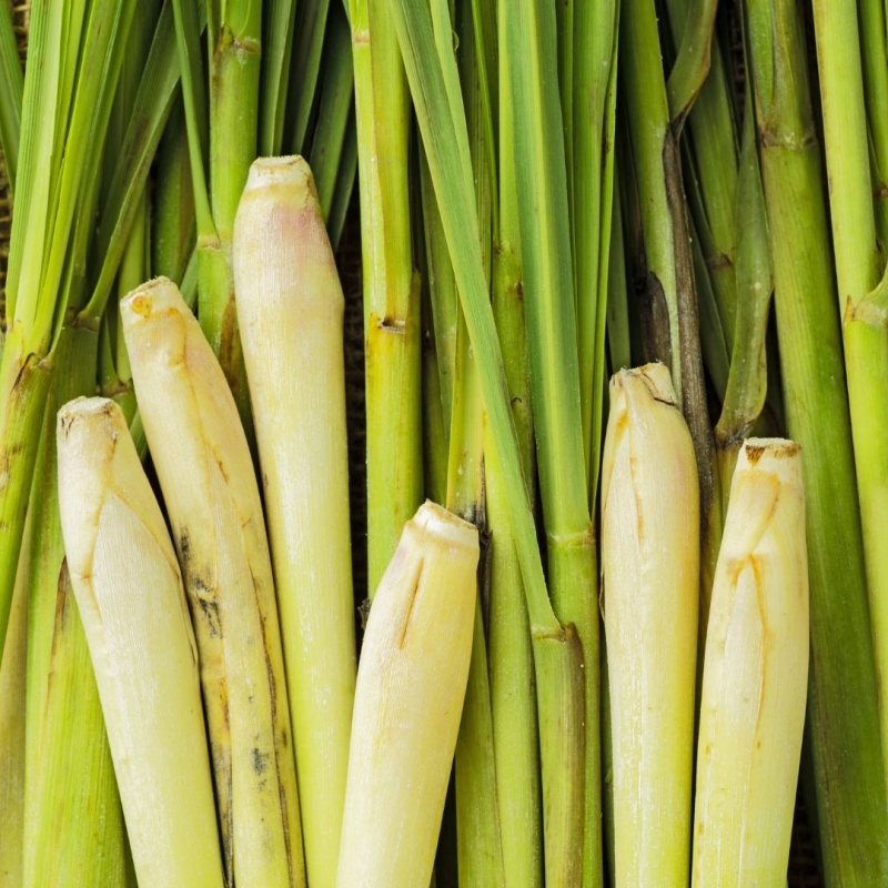 Lemongrass.jpg