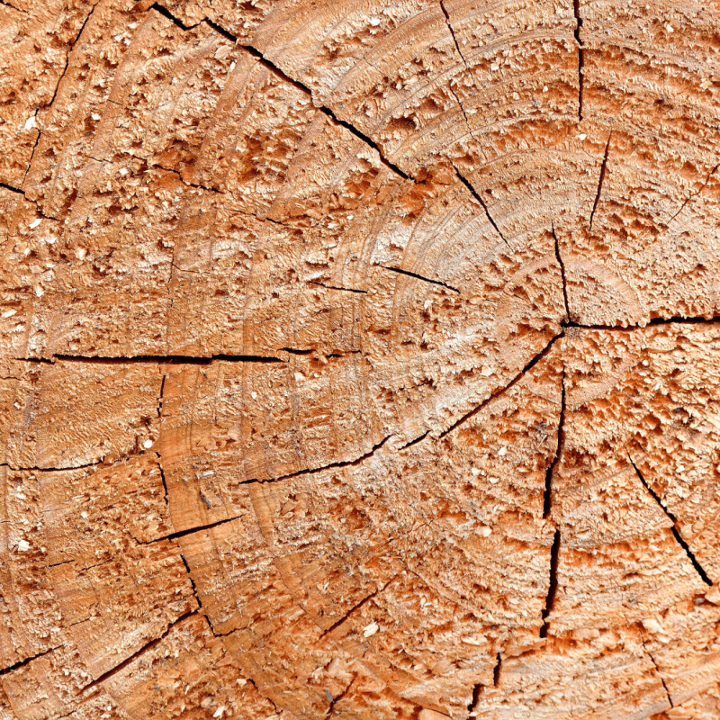 Cedarwood Virginia.png