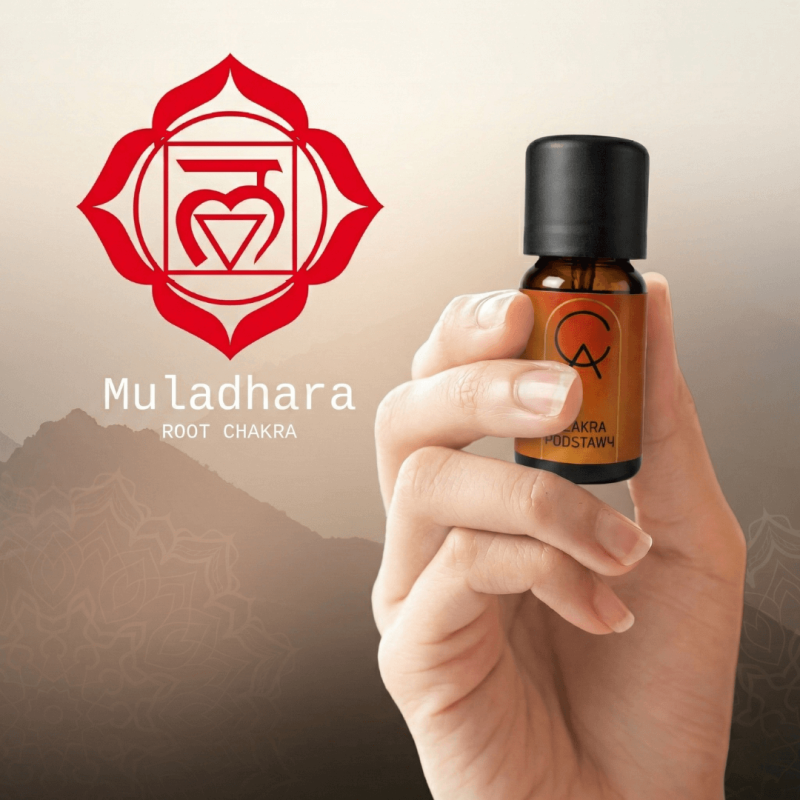 Czakra Podstawy.png