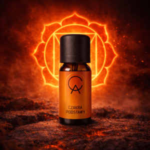 Czakra Podstawy.png