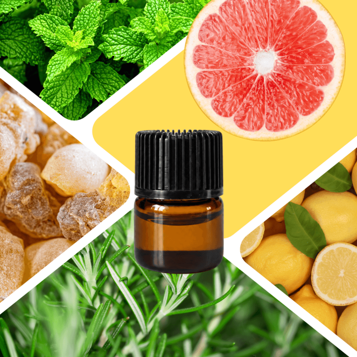 SKUPIENIE PRÓBKA - aromaterapeutyczna mieszanka olejków eterycznych 1ml