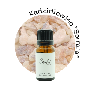 Frankincense Serrata.png